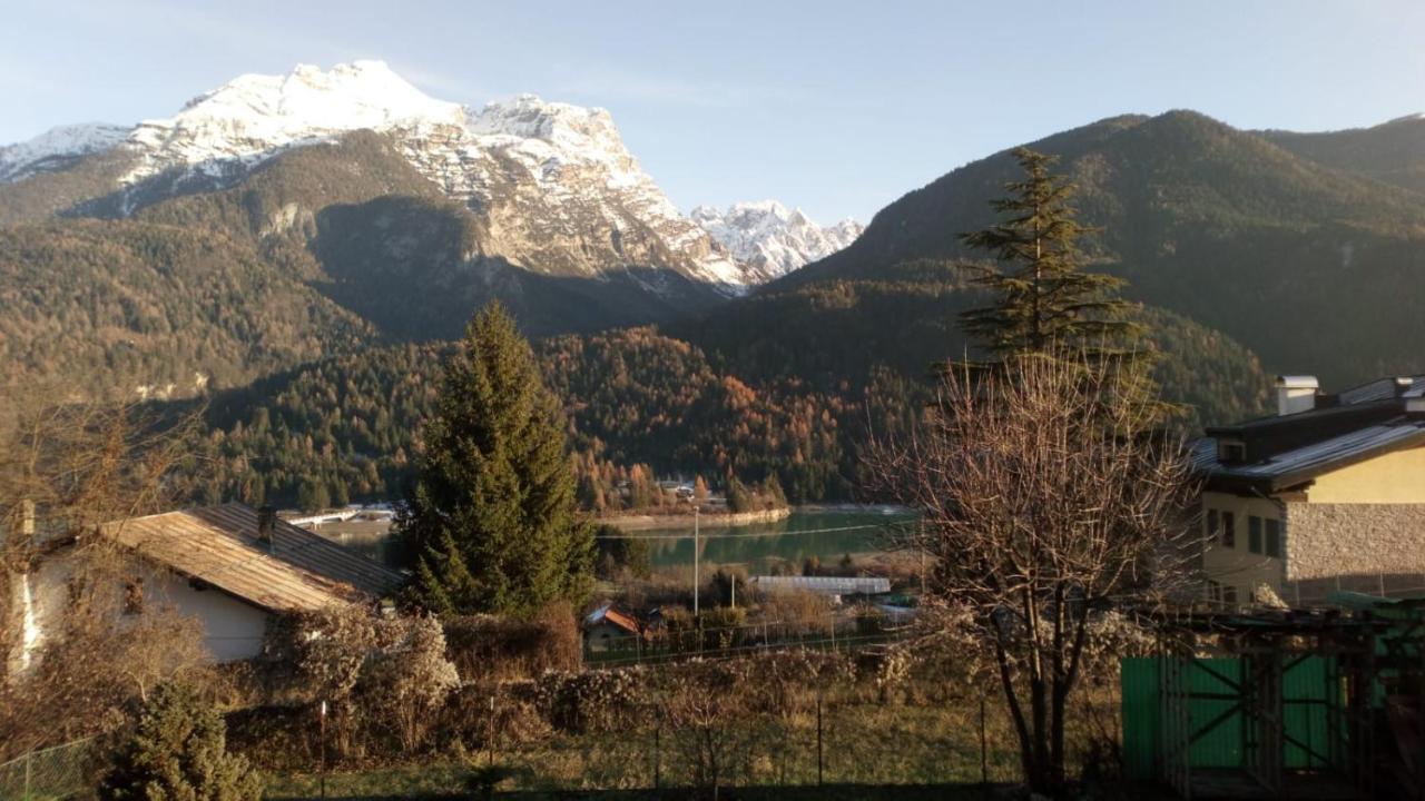 Appartamentovallesella Domegge di Cadore Eksteriør bilde